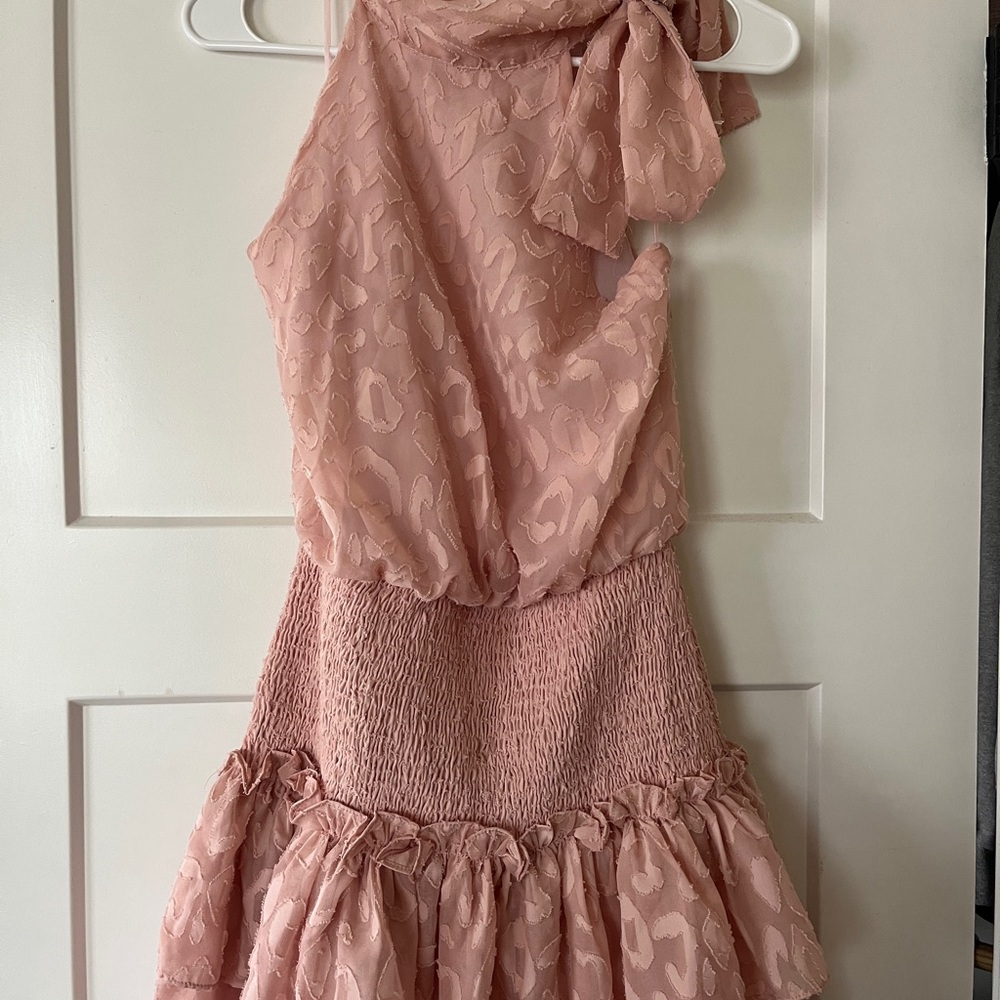 TCEC Blush Drop Waist Mini Dress